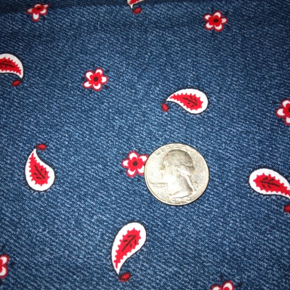 FABRIC Daisy Kingdom 4348 Tossed Bandana Paisley, 2.5 yards